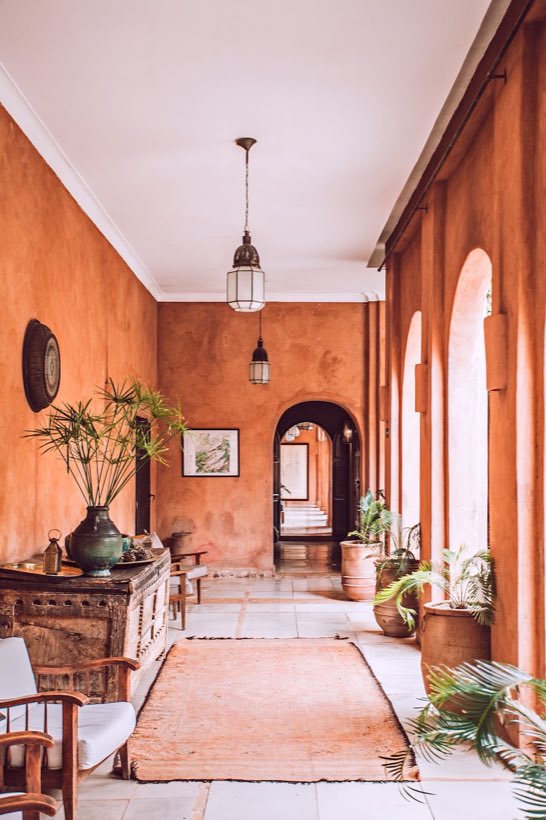 Recepción del hotel con plantas y alfombra